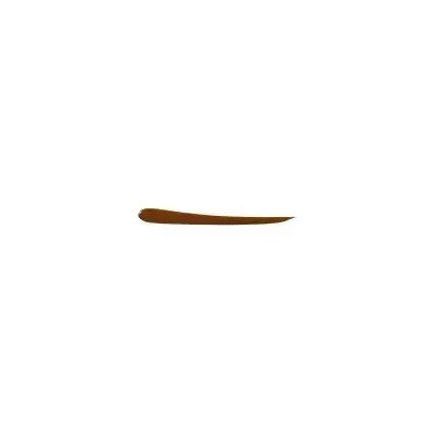 EYE CARE EYELINER WATERPROOF COULEUR 2.5g EYE CARE EYELINER WATERPROOF COULEUR 2.5g