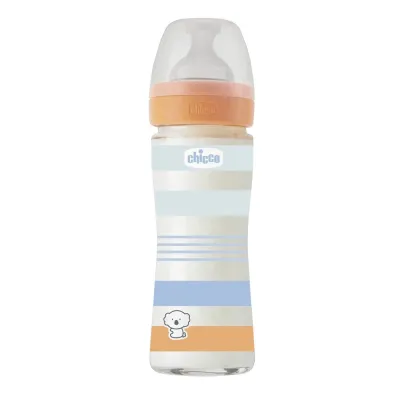 CHICCO BIBERON EN PLASTIQUE 4M+ 240ML CHICCO BIBERON EN PLASTIQUE 4M+ 240ML