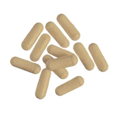NUTREND TRIBULUS TERRESTRIS 60 CAPSULES NUTREND TRIBULUS TERRESTRIS 60 CAPSULES
